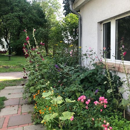 Cabana Sommerhaus und Appartement in Zweedorf Ostsee Zimmer foto