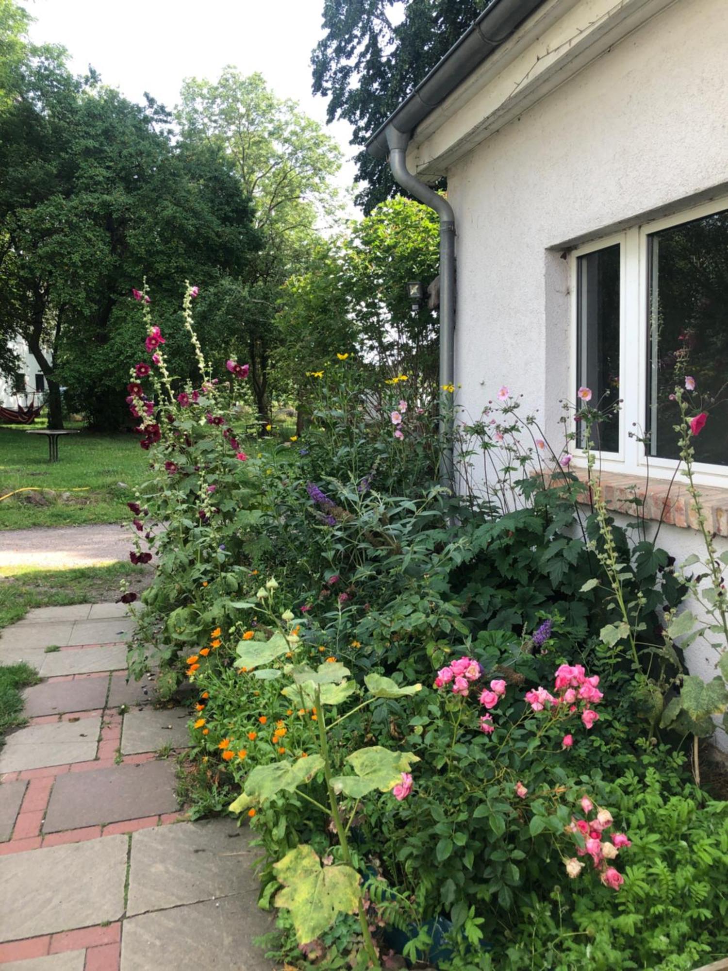 Cabana Sommerhaus und Appartement in Zweedorf Ostsee Zimmer foto